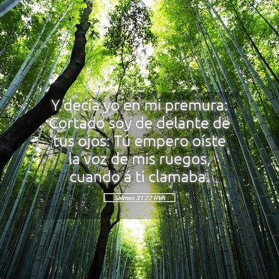 Picture 05 - Salmos 31:22 RVA - Y decía yo en mi premura: Cortado soy de delante - Bible Verse Picture