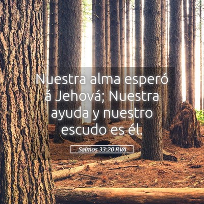 Picture 05 - Salmos 33:20 RVA - Nuestra alma esperó á Jehová; Nuestra ayuda y - Bible Verse Picture