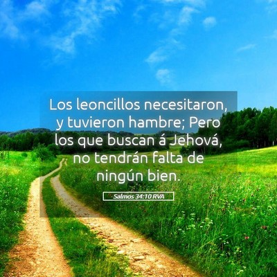 Picture 05 - Salmos 34:10 RVA - Los leoncillos necesitaron, y tuvieron hambre; - Bible Verse Picture