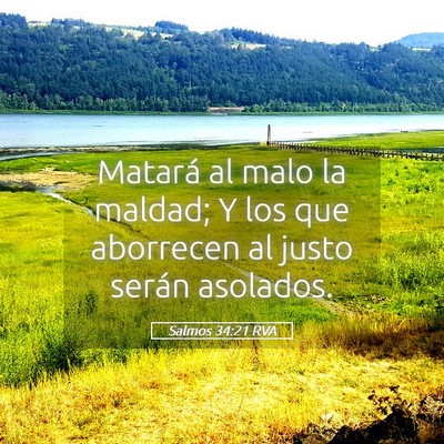 Picture 05 - Salmos 34:21 RVA - Matará al malo la maldad; Y los que aborrecen al - Bible Verse Picture