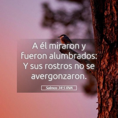 Picture 05 - Salmos 34:5 RVA - A él miraron y fueron alumbrados: Y sus rostros - Bible Verse Picture