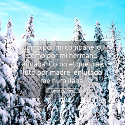 Picture 05 - Salmos 35:14 RVA - Como por mi compañero, como por mi hermano - Bible Verse Picture