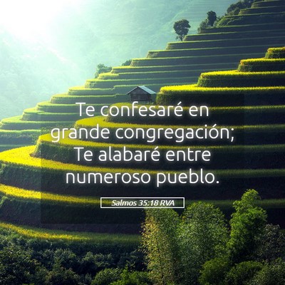 Picture 05 - Salmos 35:18 RVA - Te confesaré en grande congregación; Te - Bible Verse Picture