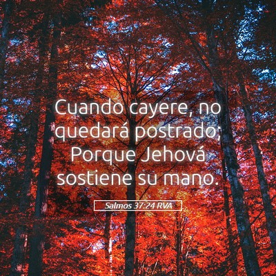 Picture 05 - Salmos 37:24 RVA - Cuando cayere, no quedará postrado; Porque - Bible Verse Picture
