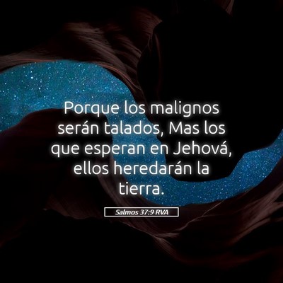 Picture 05 - Salmos 37:9 RVA - Porque los malignos serán talados, Mas los que - Bible Verse Picture