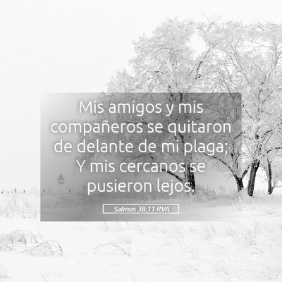 Picture 05 - Salmos 38:11 RVA - Mis amigos y mis compañeros se quitaron de - Bible Verse Picture