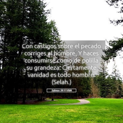 Picture 05 - Salmos 39:11 RVA - Con castigos sobre el pecado corriges al hombre, - Bible Verse Picture