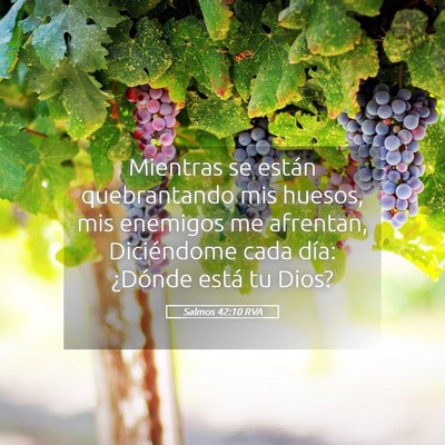 Picture 05 - Salmos 42:10 RVA - Mientras se están quebrantando mis huesos, mis - Bible Verse Picture