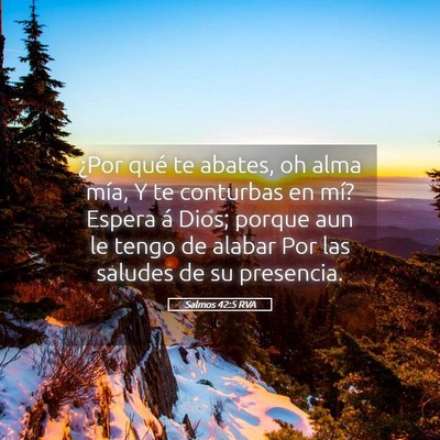 Picture 05 - Salmos 42:5 RVA - ¿Por qué te abates, oh alma mía, Y te - Bible Verse Picture