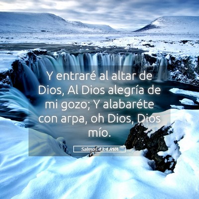 Picture 05 - Salmos 43:4 RVA - Y entraré al altar de Dios, Al Dios alegría de - Bible Verse Picture