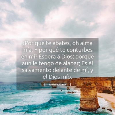 Picture 05 - Salmos 43:5 RVA - ¿Por qué te abates, oh alma mía, Y por qué te - Bible Verse Picture