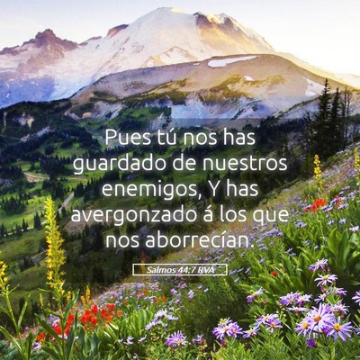 Picture 05 - Salmos 44:7 RVA - Pues tú nos has guardado de nuestros enemigos, Y - Bible Verse Picture