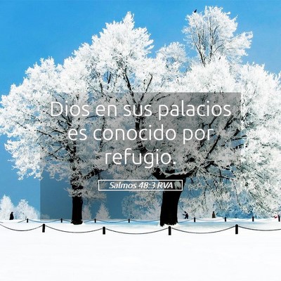 Picture 05 - Salmos 48:3 RVA - Dios en sus palacios es conocido por - Bible Verse Picture