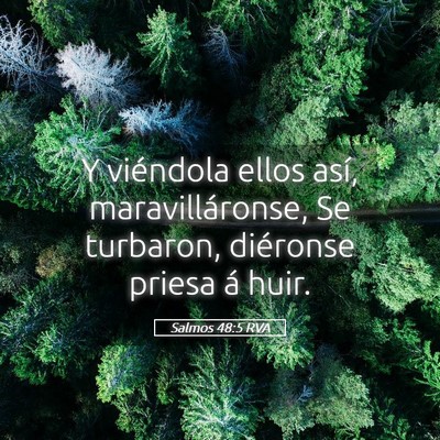 Picture 05 - Salmos 48:5 RVA - Y viéndola ellos así, maravilláronse, Se - Bible Verse Picture