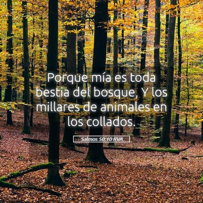 Picture 05 - Salmos 50:10 RVA - Porque mía es toda bestia del bosque, Y los - Bible Verse Picture