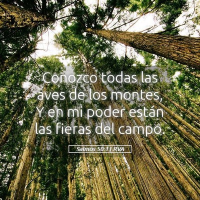 Picture 05 - Salmos 50:11 RVA - Conozco todas las aves de los montes, Y en mi - Bible Verse Picture