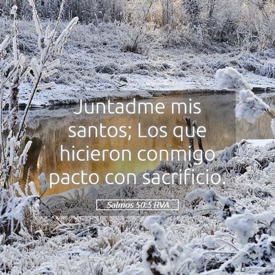 Picture 05 - Salmos 50:5 RVA - Juntadme mis santos; Los que hicieron conmigo - Bible Verse Picture