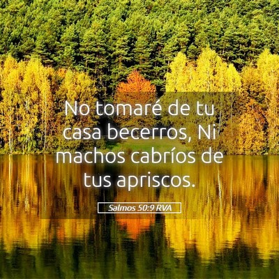 Picture 05 - Salmos 50:9 RVA - No tomaré de tu casa becerros, Ni machos - Bible Verse Picture