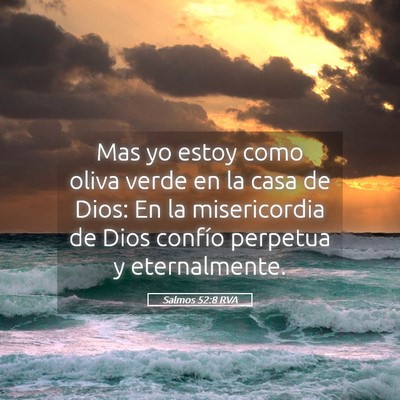 Picture 05 - Salmos 52:8 RVA - Mas yo estoy como oliva verde en la casa de Dios: - Bible Verse Picture