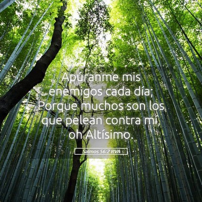 Picture 05 - Salmos 56:2 RVA - Apúranme mis enemigos cada día; Porque muchos - Bible Verse Picture