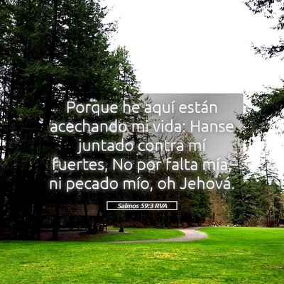 Picture 05 - Salmos 59:3 RVA - Porque he aquí están acechando mi vida: Hanse - Bible Verse Picture