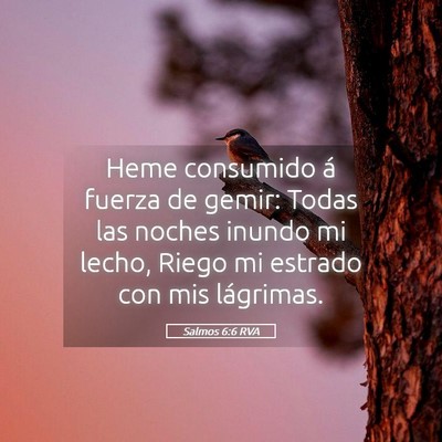Picture 05 - Salmos 6:6 RVA - Heme consumido á fuerza de gemir: Todas las - Bible Verse Picture