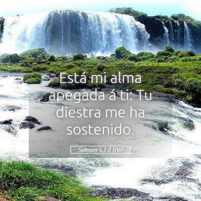 Picture 05 - Salmos 63:8 RVA - Está mi alma apegada á ti: Tu diestra me ha - Bible Verse Picture
