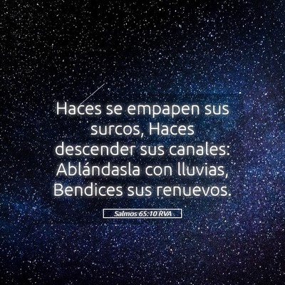 Picture 05 - Salmos 65:10 RVA - Haces se empapen sus surcos, Haces descender sus - Bible Verse Picture
