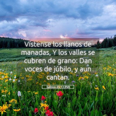 Picture 05 - Salmos 65:13 RVA - Vístense los llanos de manadas, Y los valles se - Bible Verse Picture
