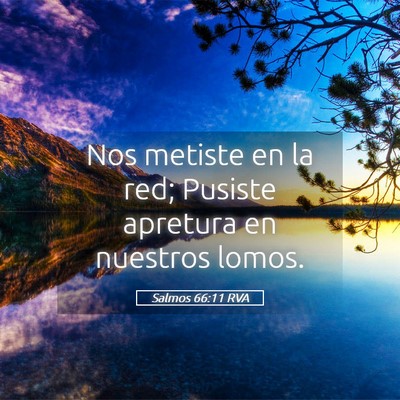 Picture 05 - Salmos 66:11 RVA - Nos metiste en la red; Pusiste apretura en - Bible Verse Picture