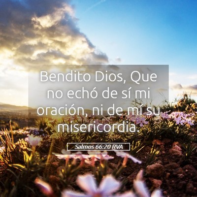 Picture 05 - Salmos 66:20 RVA - Bendito Dios, Que no echó de sí mi oración, ni - Bible Verse Picture