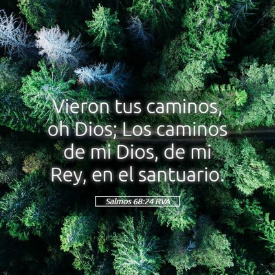 Picture 05 - Salmos 68:24 RVA - Vieron tus caminos, oh Dios; Los caminos de mi - Bible Verse Picture