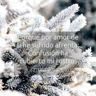 Picture 05 - Salmos 69:7 RVA - Porque por amor de ti he sufrido afrenta; - Bible Verse Picture