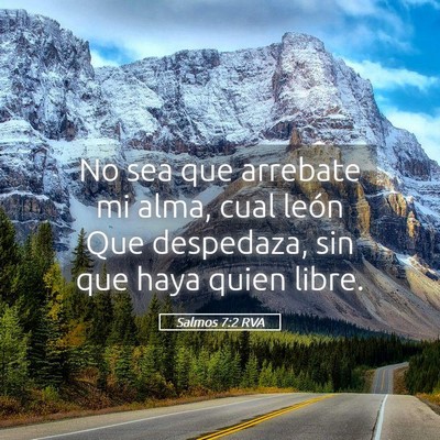 Picture 05 - Salmos 7:2 RVA - No sea que arrebate mi alma, cual león Que - Bible Verse Picture