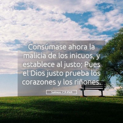 Picture 05 - Salmos 7:9 RVA - Consúmase ahora la malicia de los inicuos, y - Bible Verse Picture