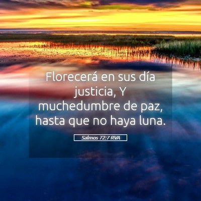 Picture 05 - Salmos 72:7 RVA - Florecerá en sus día justicia, Y muchedumbre de - Bible Verse Picture