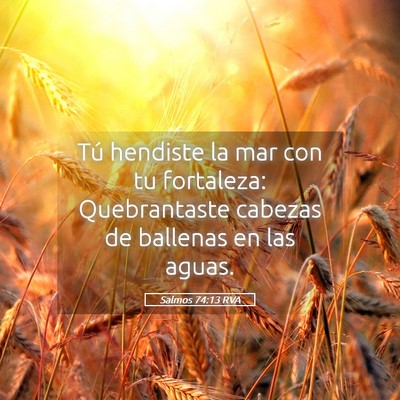 Picture 05 - Salmos 74:13 RVA - Tú hendiste la mar con tu fortaleza: - Bible Verse Picture