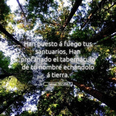 Picture 05 - Salmos 74:7 RVA - Han puesto á fuego tus santuarios, Han profanado - Bible Verse Picture