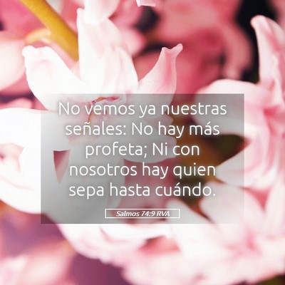 Picture 05 - Salmos 74:9 RVA - No vemos ya nuestras señales: No hay más - Bible Verse Picture