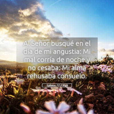 Picture 05 - Salmos 77:2 RVA - Al Señor busqué en el día de mi angustia: Mi - Bible Verse Picture