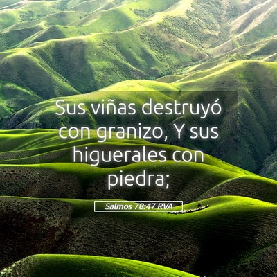 Picture 05 - Salmos 78:47 RVA - Sus viñas destruyó con granizo, Y sus - Bible Verse Picture