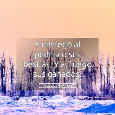 Picture 05 - Salmos 78:48 RVA - Y entregó al pedrisco sus bestias, Y al fuego - Bible Verse Picture