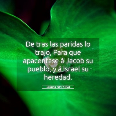 Picture 05 - Salmos 78:71 RVA - De tras las paridas lo trajo, Para que apacentase - Bible Verse Picture