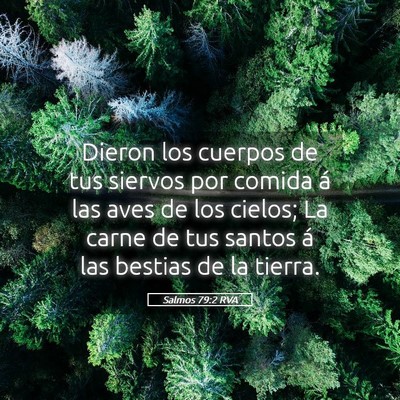 Picture 05 - Salmos 79:2 RVA - Dieron los cuerpos de tus siervos por comida á - Bible Verse Picture