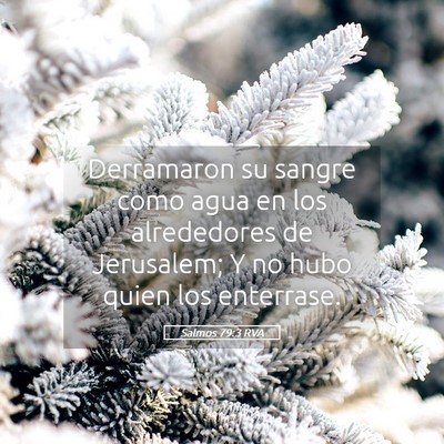 Picture 05 - Salmos 79:3 RVA - Derramaron su sangre como agua en los alrededores - Bible Verse Picture