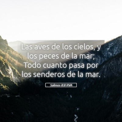 Picture 05 - Salmos 8:8 RVA - Las aves de los cielos, y los peces de la mar; - Bible Verse Picture
