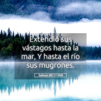Picture 05 - Salmos 80:11 RVA - Extendió sus vástagos hasta la mar, Y hasta el - Bible Verse Picture