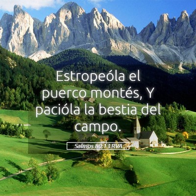 Picture 05 - Salmos 80:13 RVA - Estropeóla el puerco montés, Y pacióla la - Bible Verse Picture