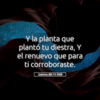 Picture 05 - Salmos 80:15 RVA - Y la planta que plantó tu diestra, Y el renuevo - Bible Verse Picture