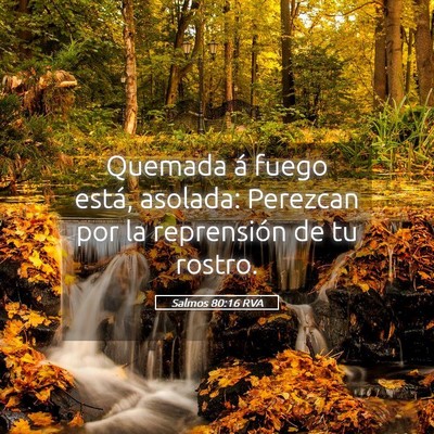 Picture 05 - Salmos 80:16 RVA - Quemada á fuego está, asolada: Perezcan por la - Bible Verse Picture